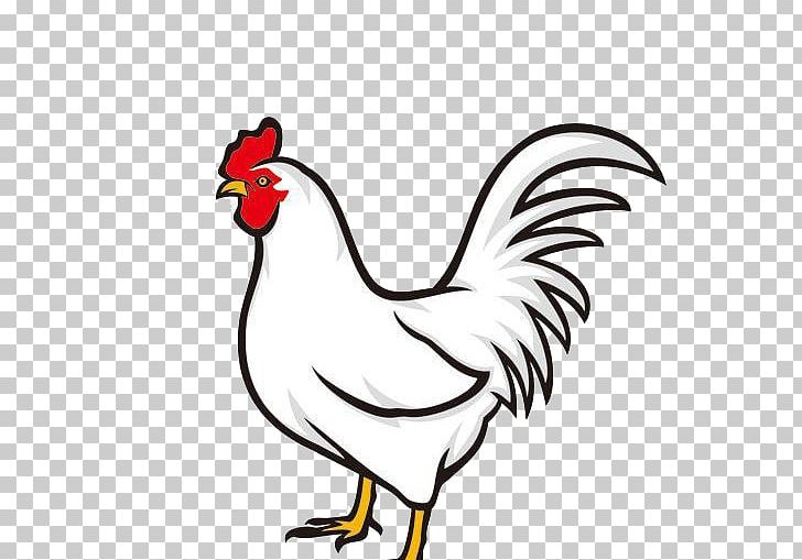 Fried Chicken Rooster Chicken Meat PNG, Clipart, Animals, Beak, Bird, Cartoon, Chicken Free PNG Download