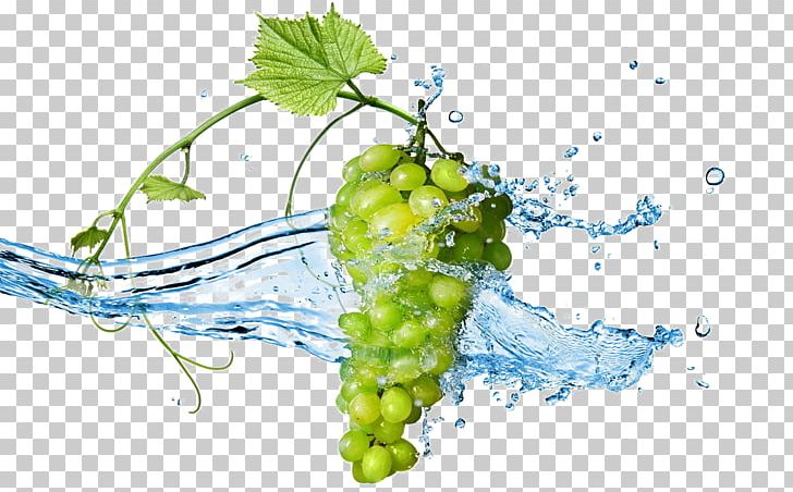 Grape Stock Photography Wine Desktop PNG, Clipart, Desktop Wallpaper, Flowering Plant, Food, Fruit, Fruit Nut Free PNG Download