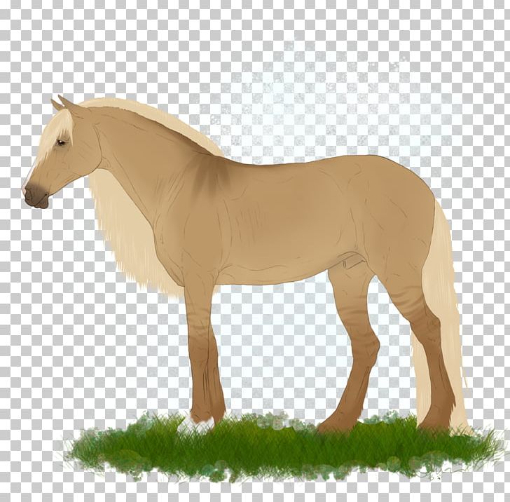 Mane Mustang Stallion Mare Foal PNG, Clipart, Chanda, Colt, Foal, Grass, Horse Free PNG Download