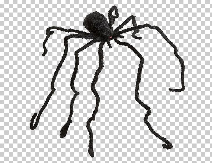 Spider Web PNG, Clipart, Arthropod, Black, Black And White, Black Spider, Button Free PNG Download