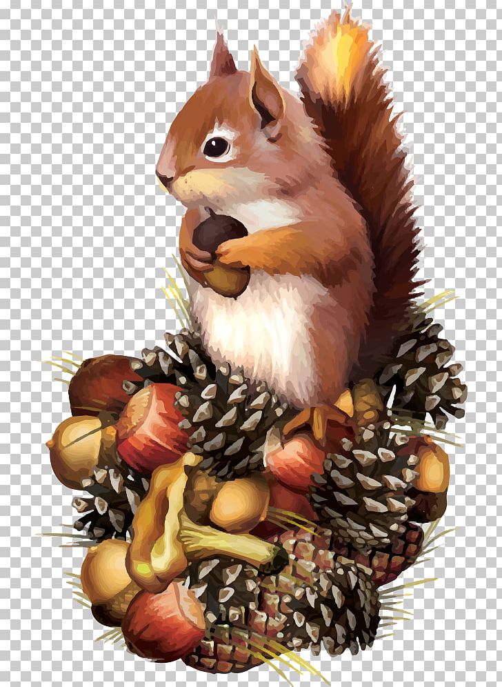 Squirrel Chipmunk PNG, Clipart, Animal, Animal Illustration, Cartoon Animals, Cartoon Squirrel, Happy Birthday Vector Images Free PNG Download