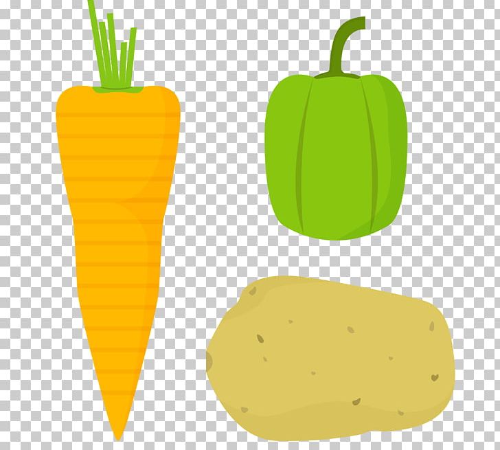 Carrot Chili Con Carne Winter Squash Vegetable PNG, Clipart, Balloon Cartoon, Boy Cartoon, Carrot, Cartoon, Cartoon Character Free PNG Download