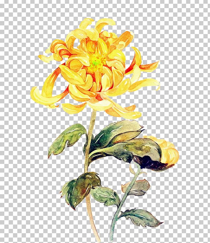 Chrysanthemum ×grandiflorum Double Ninth Festival Flower PNG, Clipart, Chrysanthemum, Chrysanthemum Grandiflorum, Chrysanthemum Indicum, Color, Cut Flowers Free PNG Download