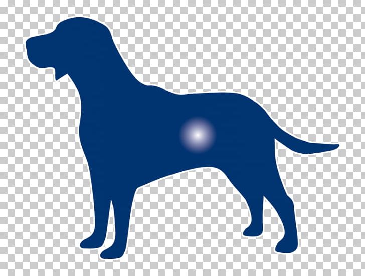 Labrador Retriever Puppy Dog Breed Sporting Group PNG, Clipart, Animals, Bark, Breed, Bunner, Carnivoran Free PNG Download