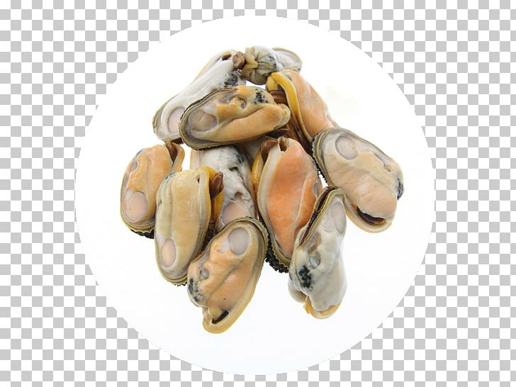 Oyster Mussel Clam Mollusc Shell Meat PNG, Clipart, Abalone, Animal Source Foods, Bag, Clam, Clams Oysters Mussels And Scallops Free PNG Download