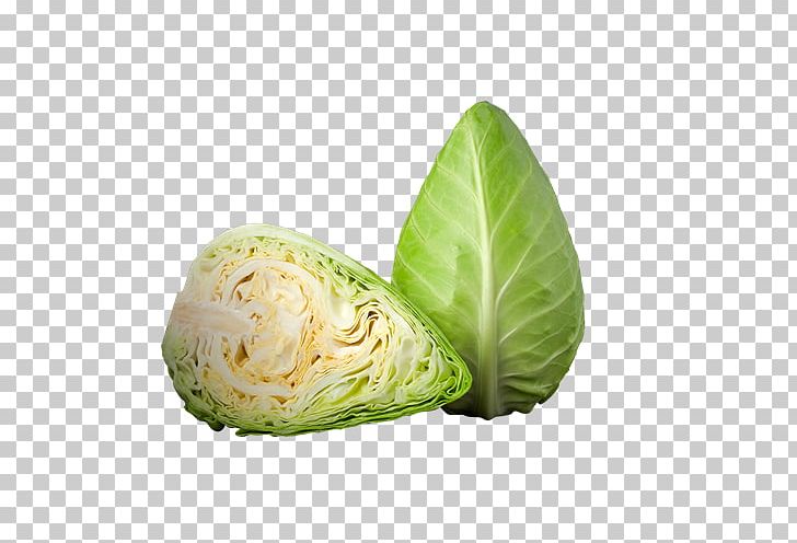 Romaine Lettuce Capitata Group Pointed White Cabbage Salad Cruciferous Vegetables PNG, Clipart, Cabbage, Capitata Group, Color, Cruciferous Vegetables, Food Free PNG Download