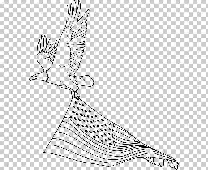 Bald Eagle Bird Coloring Book Drawing PNG, Clipart, Animal, Animals, Area, Art, Artwork Free PNG Download
