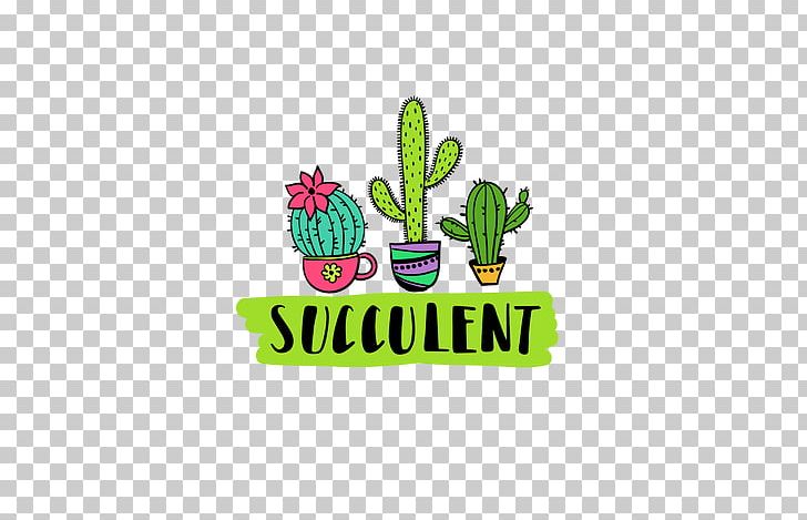Cactaceae Succulent Plant If(we) Echeveria PNG, Clipart, Area, Bonsai, Cactaceae, Cactus, Cartoon Free PNG Download