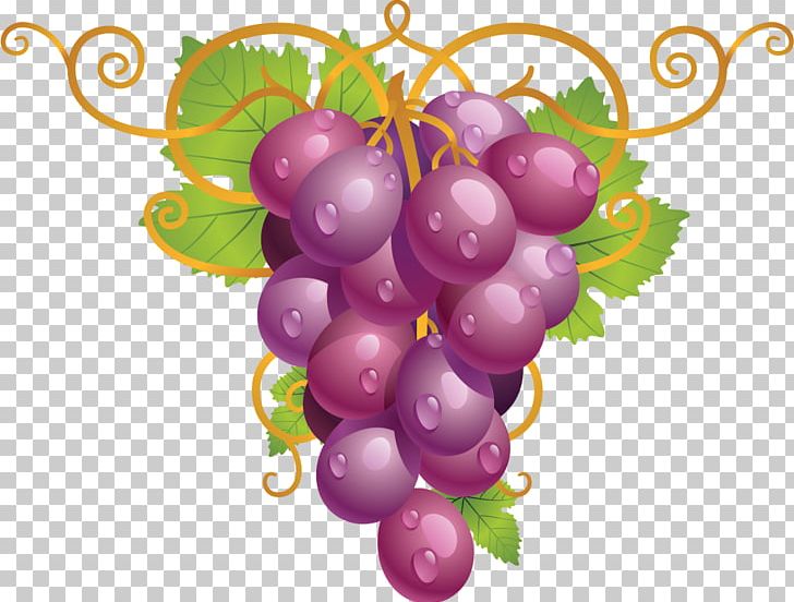 Common Grape Vine Wine Grape Leaves PNG, Clipart, Flowering, Food, Food Drinks, Fruit, Grape Free PNG Download