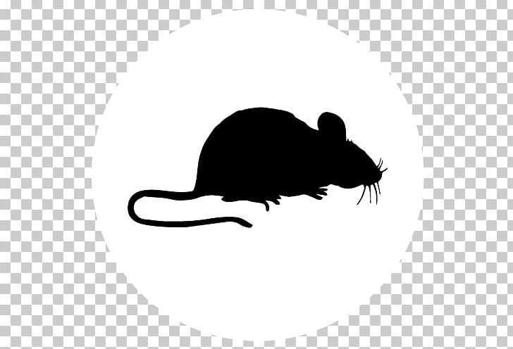 Computer Mouse Rat Decal Mouse Mats PNG, Clipart, Black, Black And White, Car, Carnivoran, Computer Free PNG Download