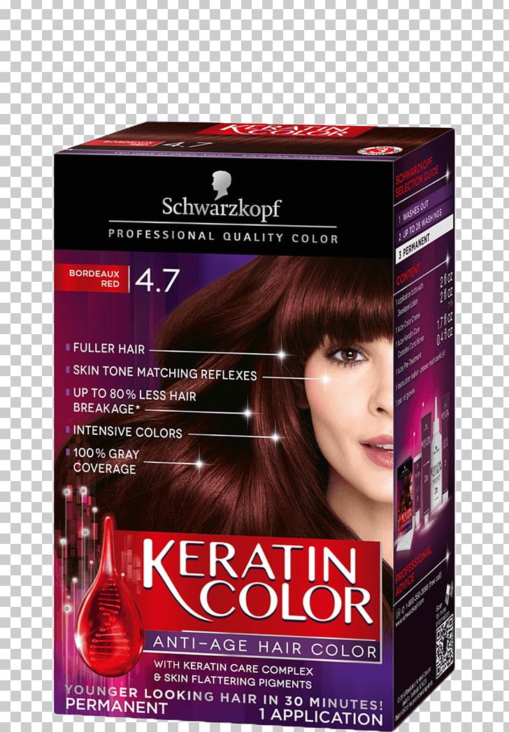Schwarzkopf Human Hair Color Hair Coloring Nice 'n Easy PNG, Clipart,  Free PNG Download