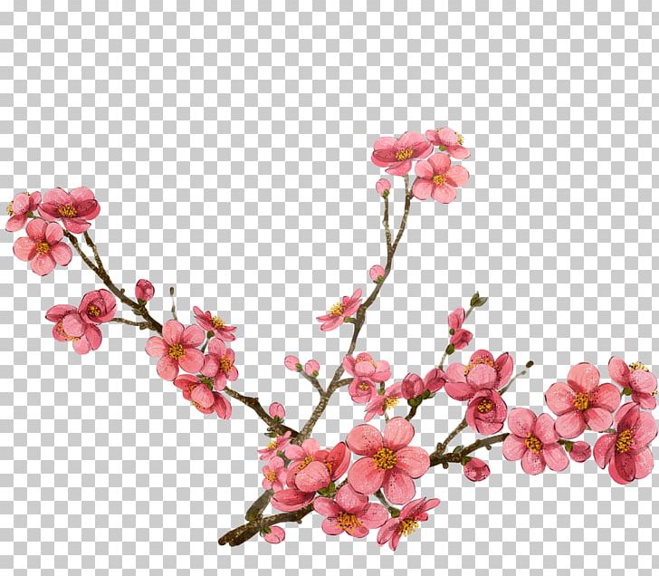 Watercolor Painting Plum Blossom PNG, Clipart, Artificial Flower, Branch, Cartoon, Cherry Blossom, Cherry Blossoms Free PNG Download