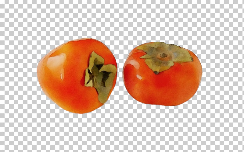 Tomato PNG, Clipart, Biology, Bush Tomato, Natural Food, Paint, Persimmon Free PNG Download