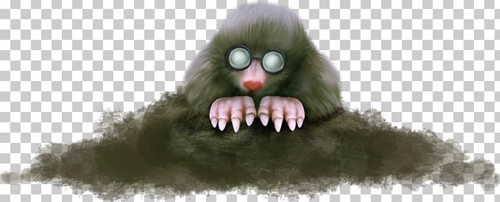 Gorilla Monkey PNG, Clipart, Adobe Illustrator, Animals, Cartoon, Cercopithecidae, Download Free PNG Download