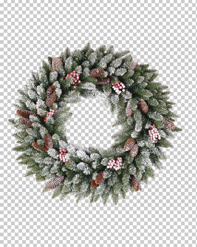 Christmas Decoration PNG, Clipart, Christmas Decoration, Colorado Spruce, Conifer, Fir, Leaf Free PNG Download