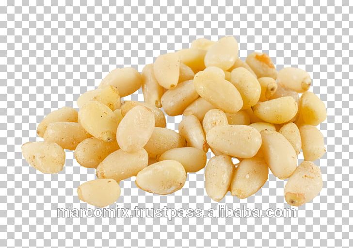 Food Stock Photography Shutterstock Nut PNG, Clipart, Cedar, Commodity, Food, Ingredient, Macadamia Free PNG Download