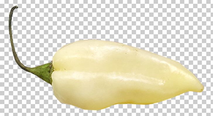 Habanero Chili Con Carne Fatalii Chili Pepper Bell Pepper PNG, Clipart, Auglis, Bell Pepper, Bell Peppers And Chili Peppers, Bhut Jolokia, Biber Free PNG Download