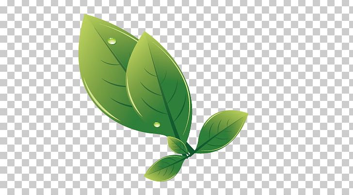 Leaf Euclidean Drawing PNG, Clipart, Banana Leaves, Bioveganshopit, Cartoon Leaves, Chemical Element, Computer Wallpaper Free PNG Download