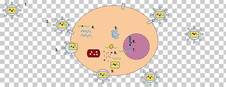 Lentivirus RNA Virus Reverse Transcriptase Virus ARN Monocatenario Retrotranscrito Simian Foamy Virus PNG, Clipart, Area, Art, Biology, Cartoon, Cartoon Of Ferocious Virus Cells Free PNG Download