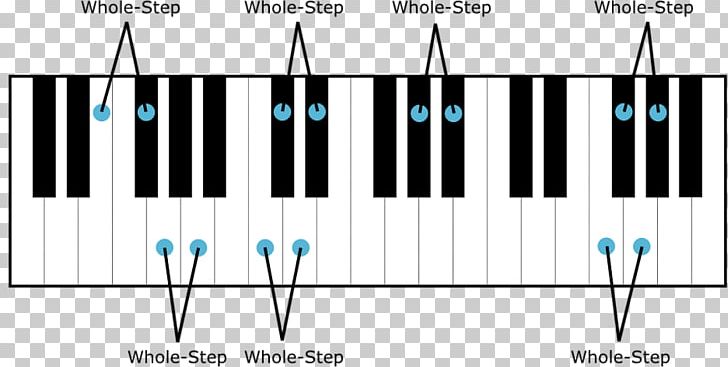 Musical Keyboard Semitone Piano Whole Tone Scale PNG, Clipart, Brand, Diagram, Ele, Electronic Instrument, Electronic Keyboard Free PNG Download