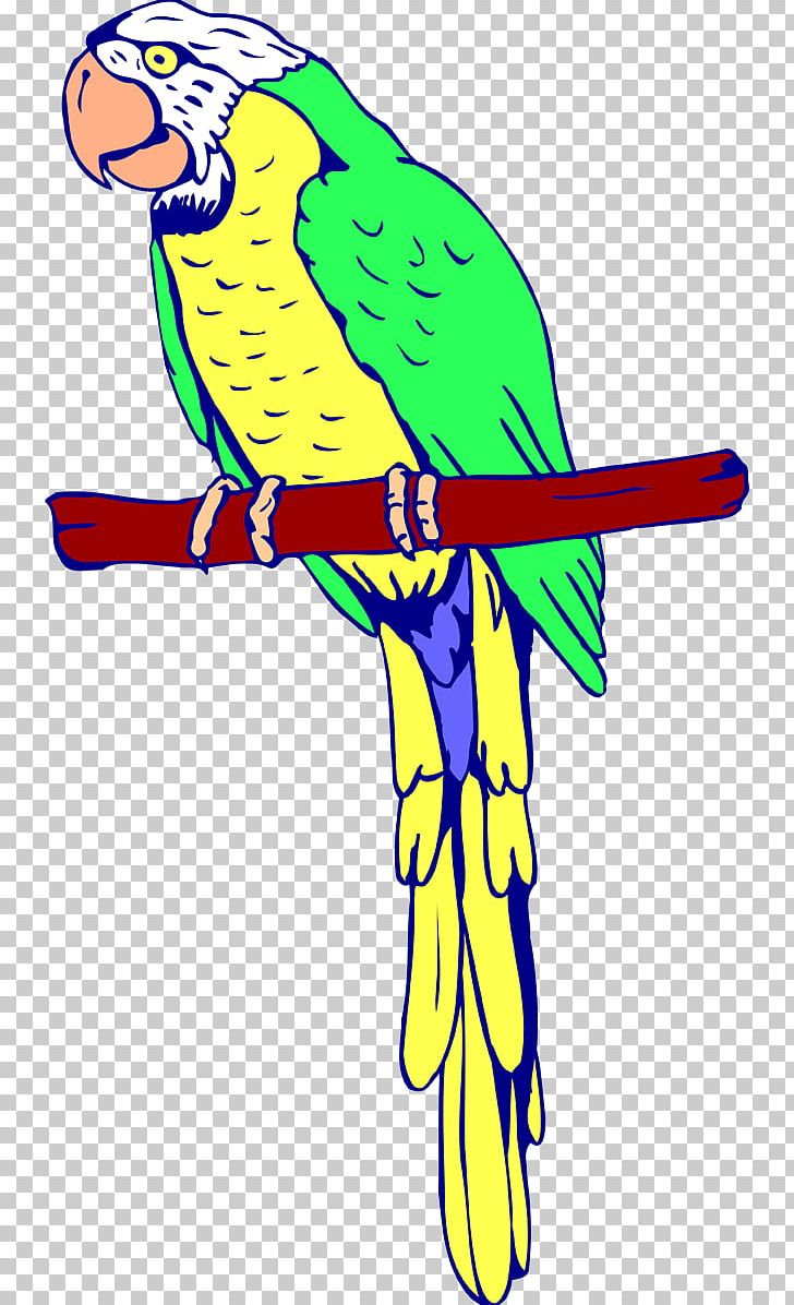 Amazon Parrot Bird Coloring Book Macaw PNG, Clipart, Adult, Amazon Parrot, Animal, Animal Figure, Animals Free PNG Download