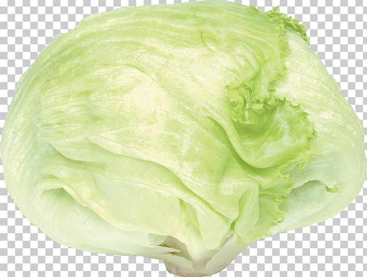 Cabbage Romaine Lettuce Cauliflower Kale PNG, Clipart, Beans, Brassica Oleracea, Butterhead Lettuce, Cabbage, Cauliflower Free PNG Download