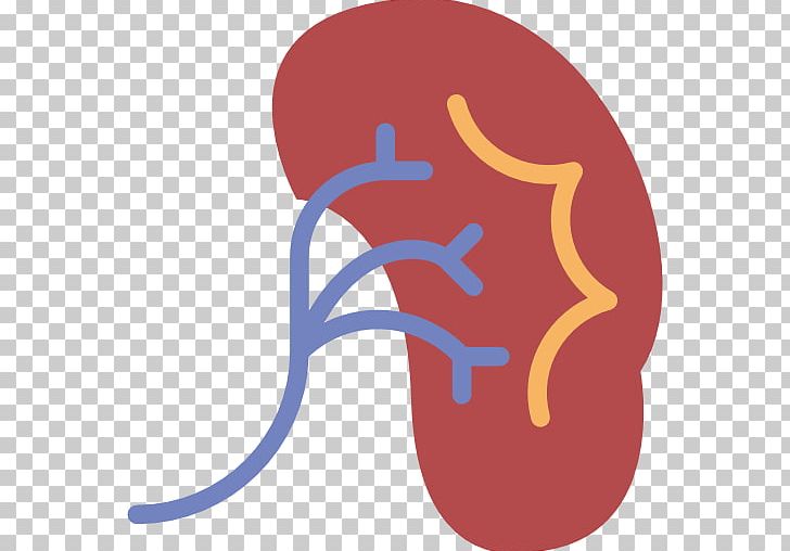 Computer Icons Kidney Medicine Health Care PNG, Clipart, Area, Computer Icons, Finger, Hand, Hand Injury Free PNG Download