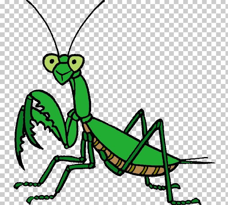 Insect Line Art Cartoon Pest PNG, Clipart, Animal Figure, Artwork, Cartoon, Fall Season, Fauna Free PNG Download