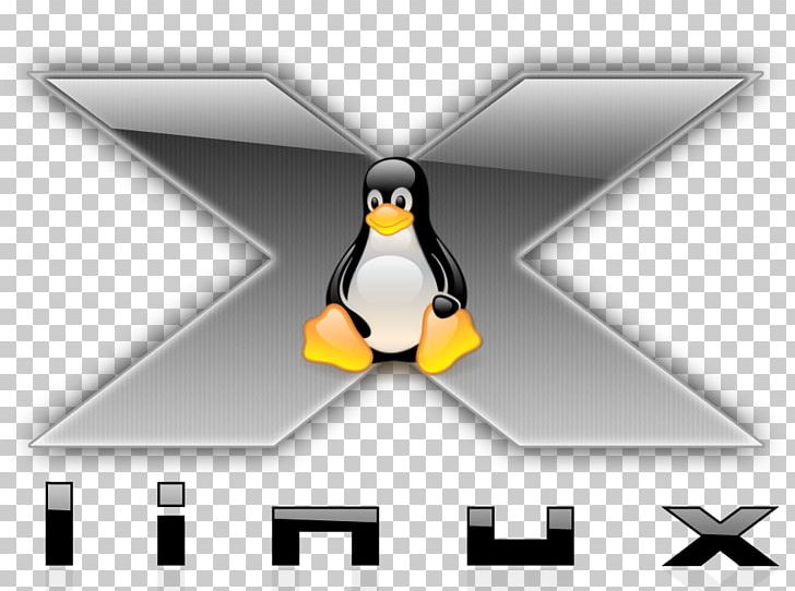 NimbleX Kurumin Linux Distribution DistroWatch PNG, Clipart, Angle, Antix, Beak, Berkeley Software Distribution, Bird Free PNG Download