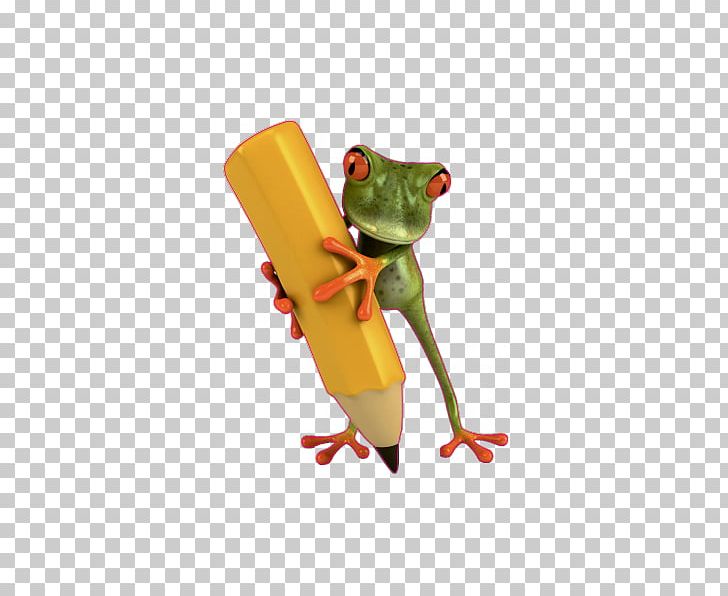True Frog Yellow-banded Poison Dart Frog PNG, Clipart, Amphibian, Animals, Dyeing Dart Frog, Flying Frog, Frog Free PNG Download