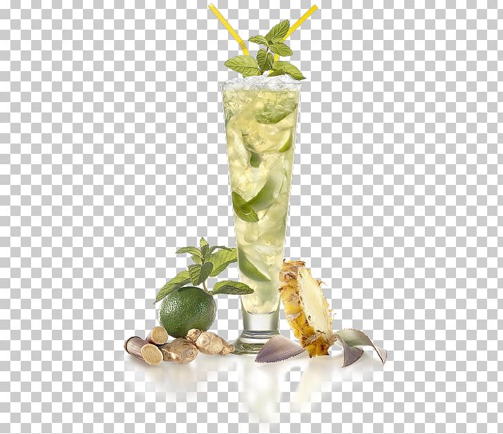 Mojito Rum Cocktail Garnish Punch PNG, Clipart,  Free PNG Download
