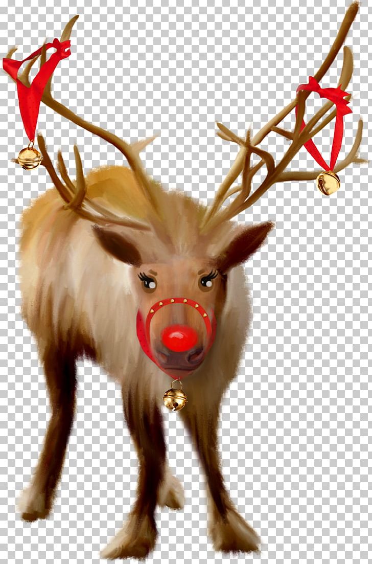 Santa Claus's Reindeer Santa Claus's Reindeer Christmas PNG, Clipart, Animal, Animation, Antler, Cartoon, Character Free PNG Download