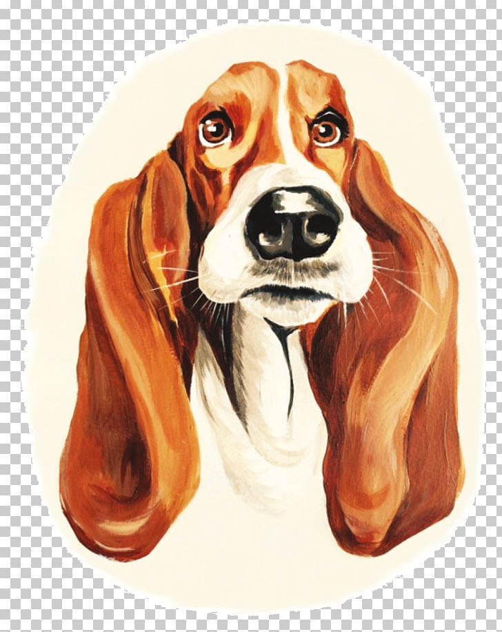 Beagle Harrier English Foxhound Finnish Hound Dog Breed PNG, Clipart, Beagle, Breed, Carnivoran, Dog, Dog Breed Free PNG Download