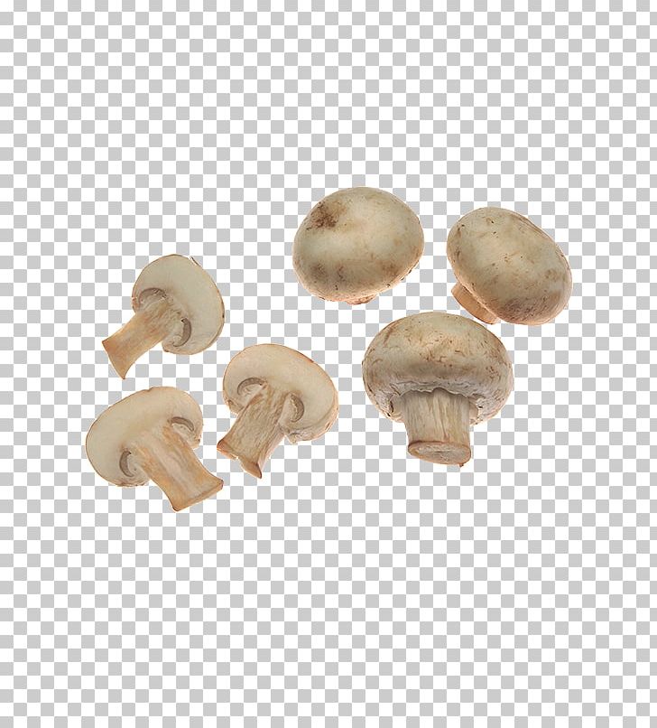 Mushroom Fungus Encapsulated PostScript PNG, Clipart, Agaricaceae, Agaricus, Anchovies, Encapsulated Postscript, Fungus Free PNG Download
