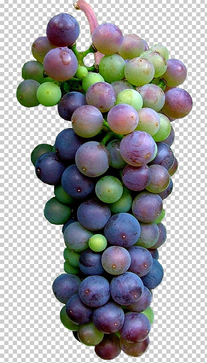 Sultana Grape Seedless Fruit Food PNG, Clipart, Amazon Grape, Cake, Color, Damson, Food Free PNG Download