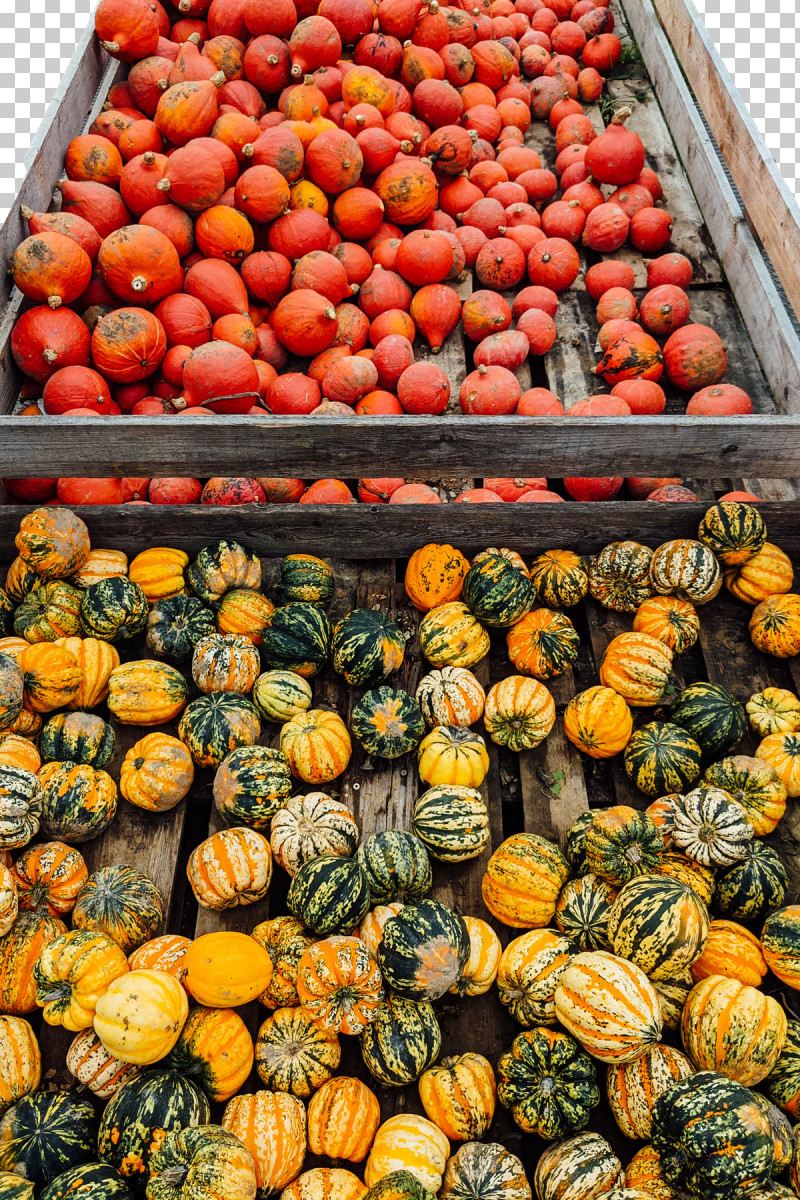 Tomato PNG, Clipart, Commodity, Cucumber, Gourd, Local Food, Marketplace Free PNG Download