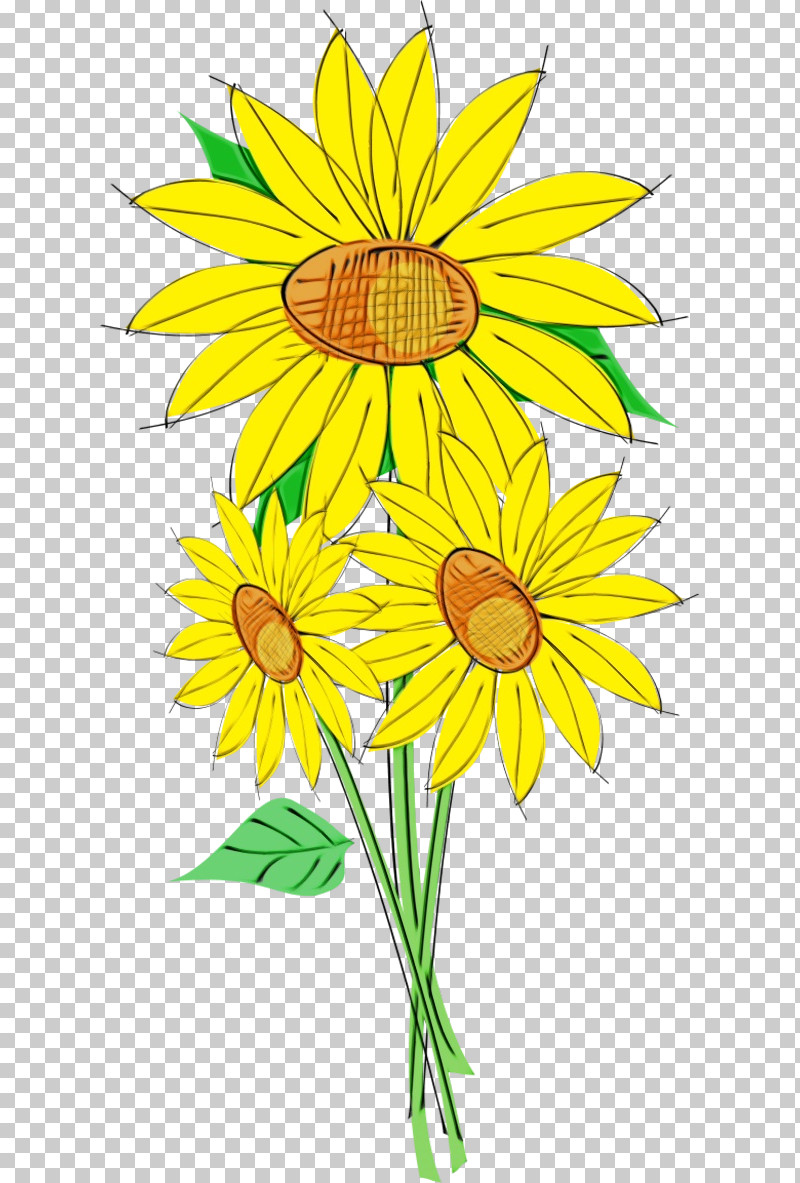 Floral Design PNG, Clipart, Chrysanthemum, Common Sunflower, Cut Flowers, Floral Design, Flower Free PNG Download