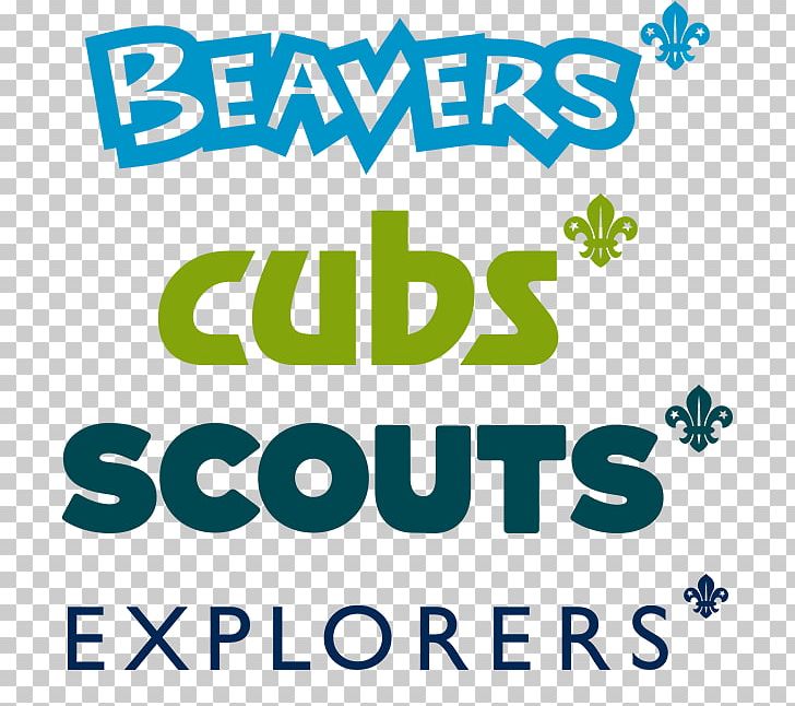 Beavers Beaver Scouts Scout Group The Scout Association PNG, Clipart, Animals, Area, Beaver, Beavers, Beaver Scouts Free PNG Download
