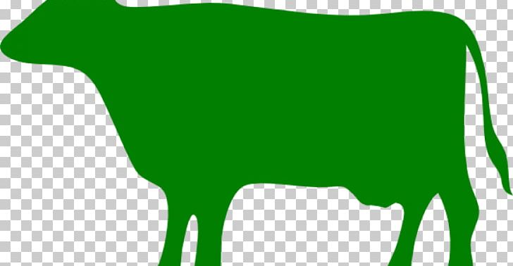 Beef Cattle Dairy Cattle Taurine Cattle Ox PNG, Clipart, Beef Cattle, Black And White, Bull, Cattle, Cattle Like Mammal Free PNG Download