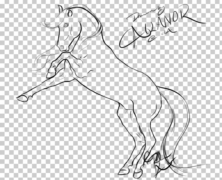 Rearing Line Art Drawing Mustang Arabian Horse PNG, Clipart, Arm, Artwork, Black And White, Carnivoran, Cartoon Free PNG Download