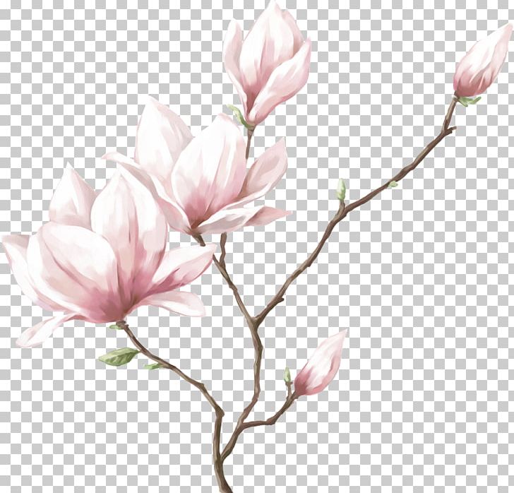 Watercolor Painting Drawing Flower PNG, Clipart, Art, Blossom, Branch, Cherry Blossom, Cut Flowers Free PNG Download