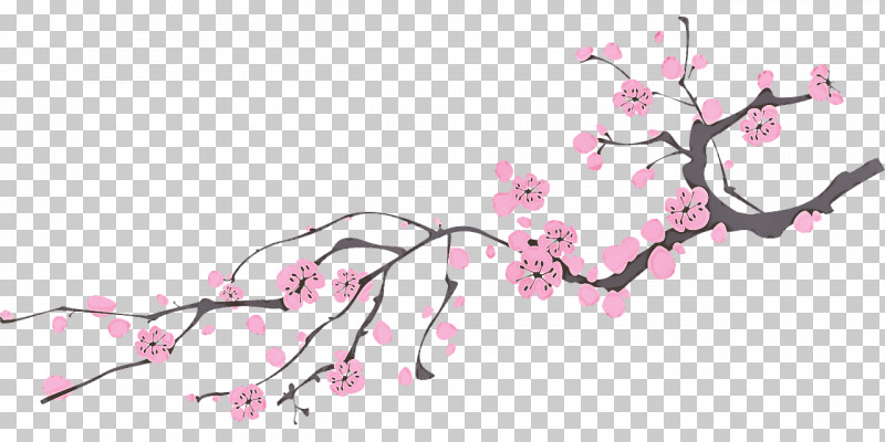 Cherry Blossom PNG, Clipart, Blossom, Branch, Cherry Blossom, Flower, Magnolia Free PNG Download