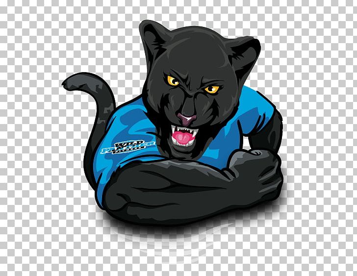 Black Cat Panther Physical Fitness Exercise PNG, Clipart, Animal, Animals, Big Cats, Black Cat, Black Panther Free PNG Download