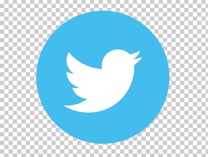 Computer Icons Logo Social Media PNG, Clipart, Aqua, Azure, Beak, Bird, Blue Free PNG Download