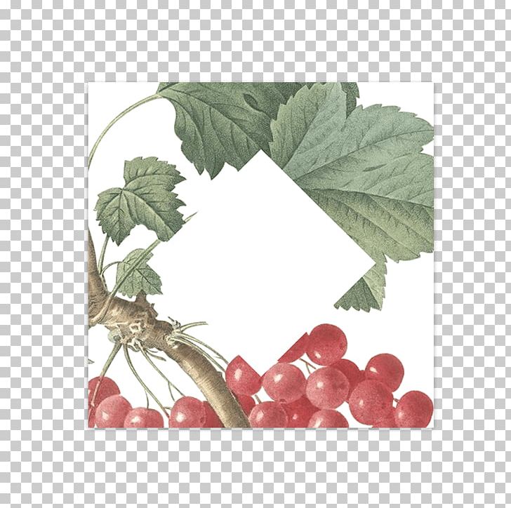 Wedding Convite Redcurrant Number PNG, Clipart, Berry, Blog, Convite, Currant, English Free PNG Download