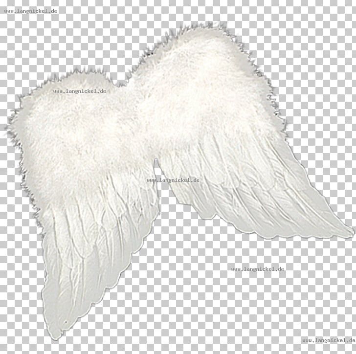 White Fur Legendary Creature Supernatural PNG, Clipart, Black And White, Deko, Feather, Fur, Legendary Creature Free PNG Download