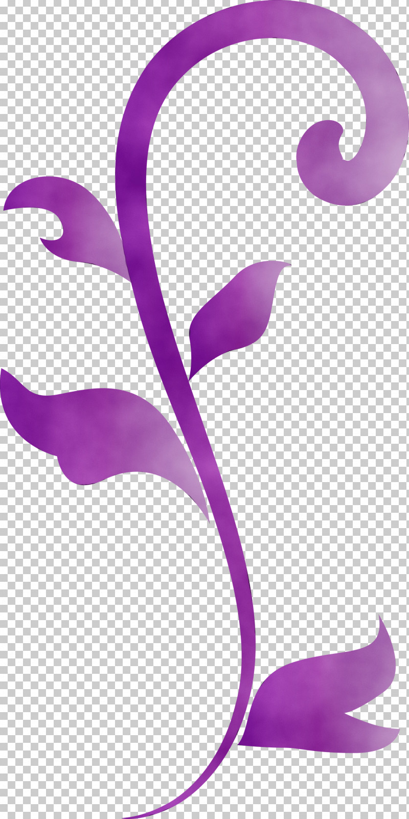 Violet Purple Lilac Magenta Plant PNG, Clipart, Floral Frame, Flower Frame, Lilac, Magenta, Paint Free PNG Download