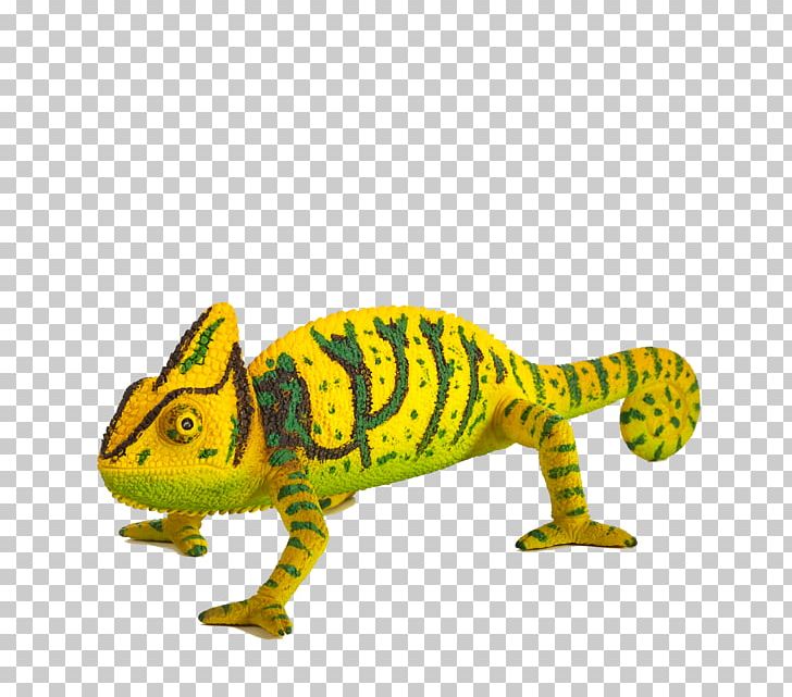 Chameleons Reptile Lizard Triceratops Horse PNG, Clipart, Animal, Animal Figure, Animal Figurine, Animals, Cameroon Sailfin Chameleon Free PNG Download