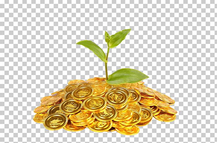 Gold Coin Plant Finance PNG, Clipart, Closeup, Coin, Coins, Currency, Download Free PNG Download