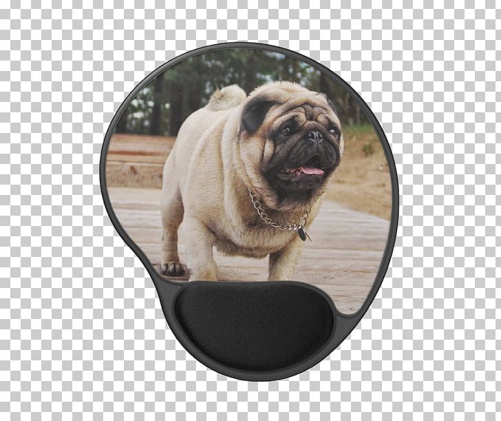 Pug Puppy Dog Breed Pet Key Chains PNG, Clipart, Animal, Animals, Breed, Canidae, Carnivoran Free PNG Download